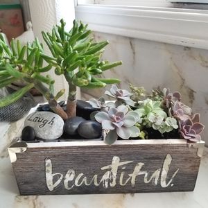 Meet your Posher, Carol